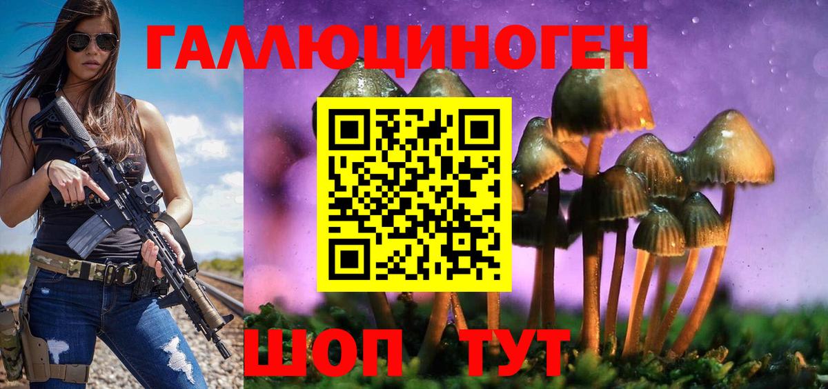 Галлюциногенные грибы Psilocybe Саянск